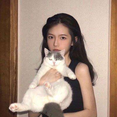 虫虫助手鸿蒙版下载